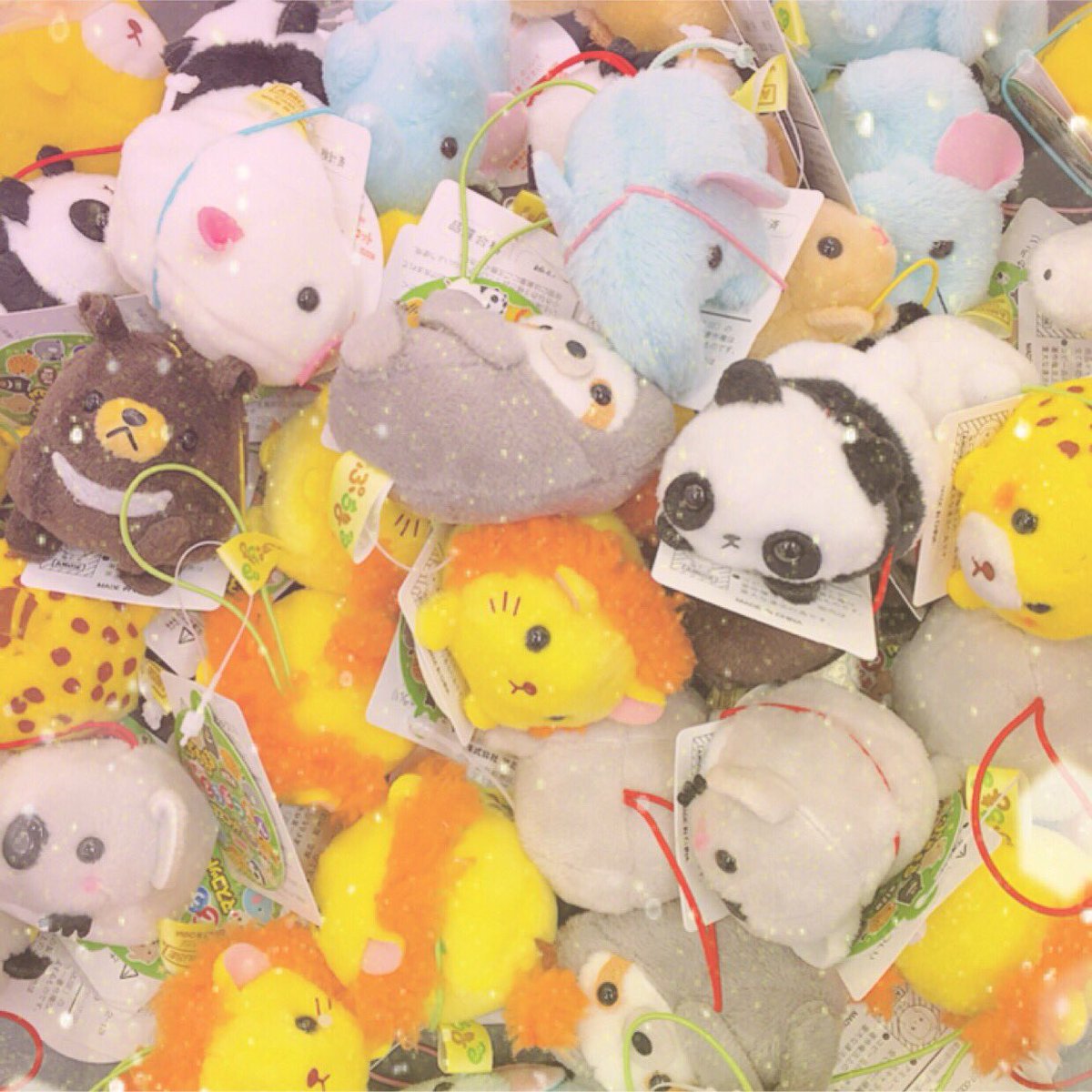 ゲームプラザgao大久保店 Ar Twitter ぷちまる楽しい動物園 人気のぷちまるに新作が入荷だお 今回はナマケモノ ミーアキャット ポニー ツキノワグマなど新デザインが追加されたお スタッフイチオシはミーアキャットだお 大きいサイズは在庫わずか お早めに