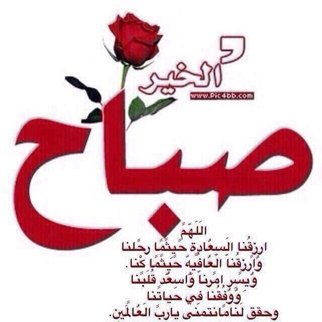 الصداقة تتكون من أذن مستعدة للانصات وقلب مستعد للتفهم ويد ممتدة للمساعدة الصداقة تعني مضاعفة السعادة وتقاسم اﻷحزان