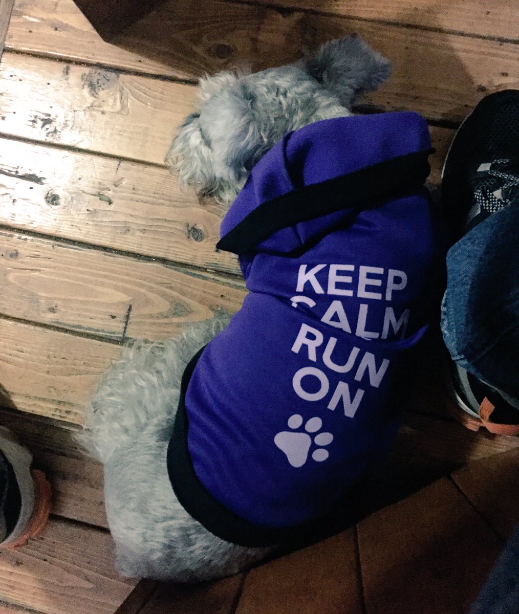 knaverit's tweet image. La diva de la #JAVA_HOME prefiere dormir y conservar la calma (y sus energías). 🐶