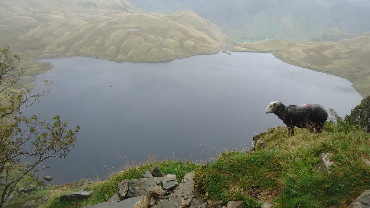 ALONE you stand as the wind whispers
Voices drift on the breeze to the ear
You look all around to see the speaker
Only the sheep are here