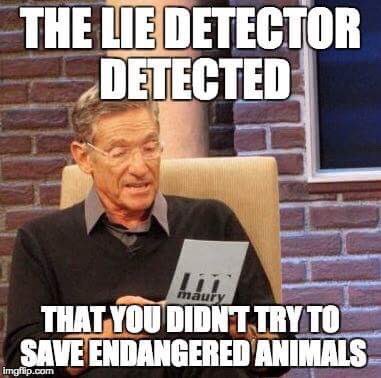 SaveTheAnimemes's tweet photo. Help us help endangered animals by donating via the link in our bio https://t.co/qYDXfn2qJZ