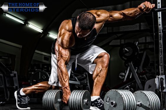 homeofsteroid's tweet photo. #BuyDianabol Through Online For Building #StrongerMuscles Rapidly
See more: https://t.co/lXGPIeVJtv
Follow @homeofsteroid https://t.co/4wMi2kWsgz
