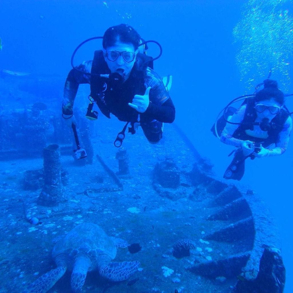 jwscubadiver's tweet photo. Fun time diving time!

#Hawaii #scuba #Gopro customers #diving with #greenseaturtle #shipw… https://t.co/t8DpWO0tNh https://t.co/8ZVdpmsivR