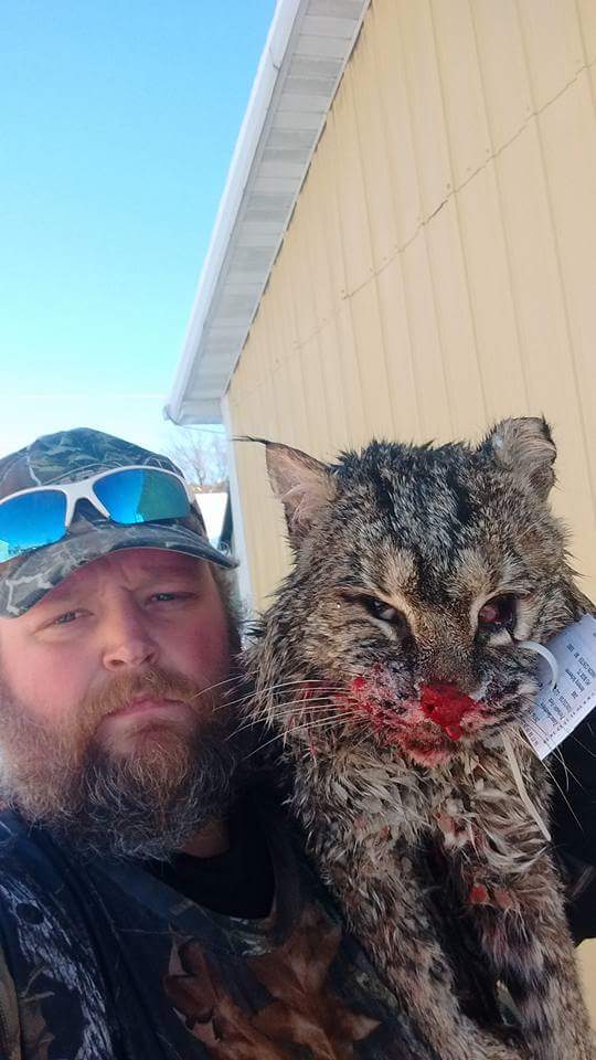 BucksofWI's tweet photo. Congratulations Jeremy Scheerer on your #WisconsinCat #BucksofWi #BucksofAmerica https://t.co/yuDEytRDGI