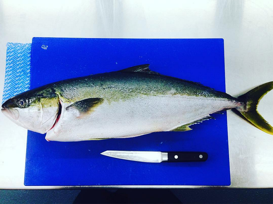 Saigon Sally tweet media