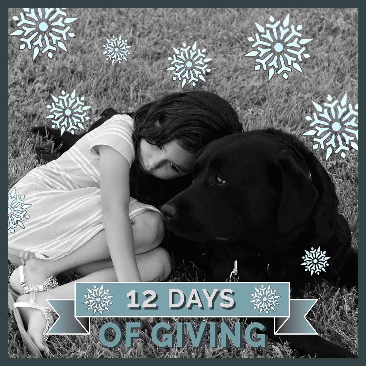 ADWSantaFe's tweet photo. Courthouse dogs provide the comfort and support kids need to tell their story, making sure justice is served. GIVE: https://t.co/P2BNqsINps https://t.co/ILU9bcFGYX