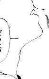 キスシーンを描くにおいて、この顎から首のラインをいかに色っぽく描けるかに力を注いでいる自分に気づく。 