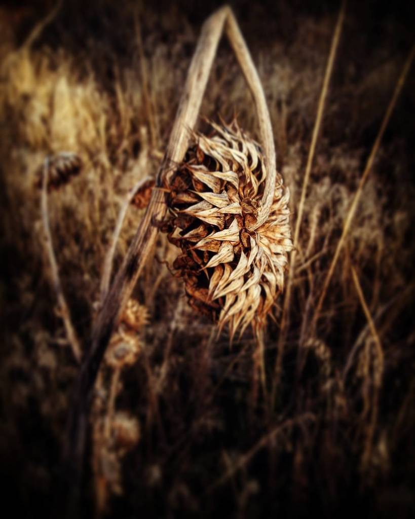 AddictedToYum's tweet image. Infuse your life with action. Don't wait for it to happen. Make it happen. Make your own future. Make your own hope…