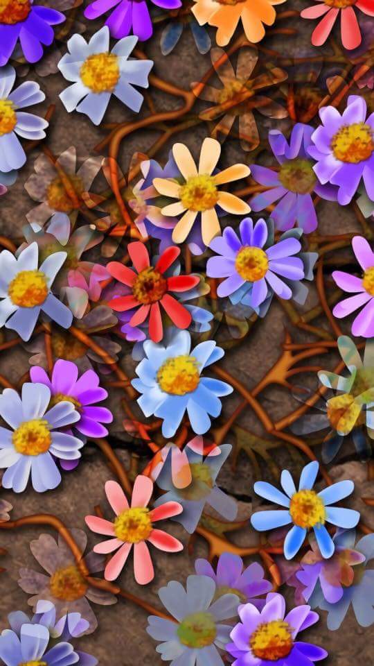 اللهم  جمل  صباحنا 
بحبك وذكرك وعفوك ورضاك عنا 
صباحكم رضا✍️✍️
#الخــــــــــالدي_النجــــفــــــي♥