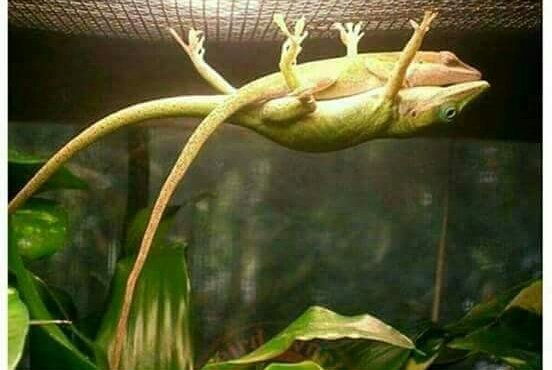 sweetshanu112's tweet photo. Ye b relationship main hai Ek main he single Ho ... 😢😢 https://t.co/doKZuIEjmf