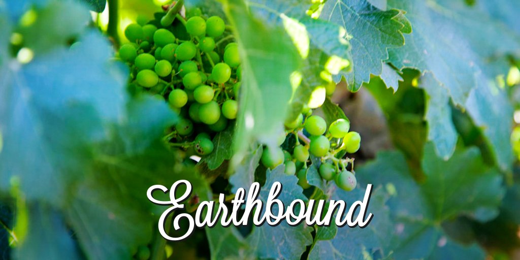 Lay claim to wine that was pure to begin with. Earthbound Wines are certified organic and are available on <a href="/Cybercellar/">CyberCellar.com</a> #organic #wine