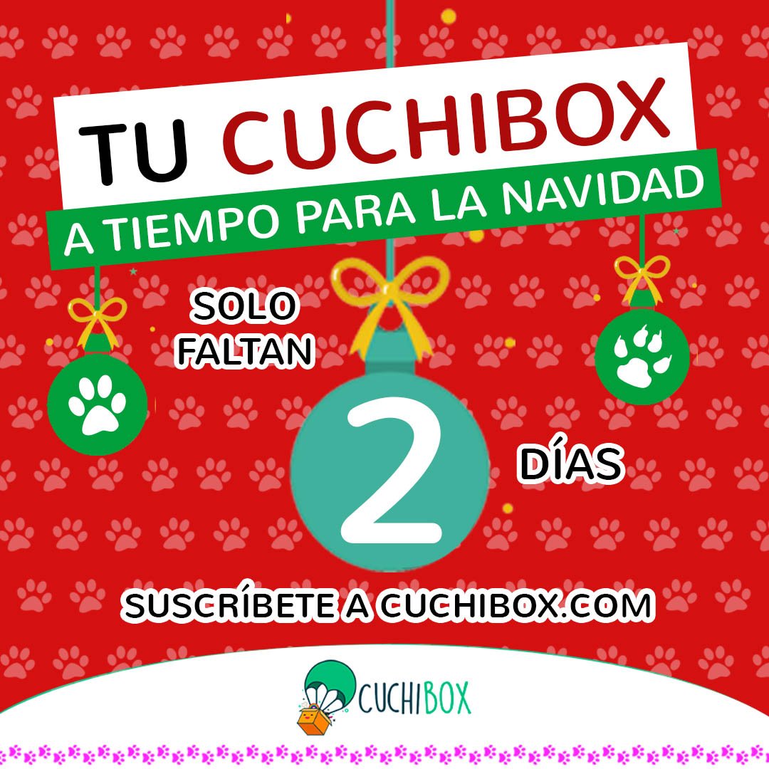 cuchibox's tweet photo. Solo faltan 2 días para la entrega de la #cuchiboxnavideña. Suscribete para darle la cajita a tu amigo peludo. Estás a tiempo, amigo! Corre! https://t.co/d3yT4wqVF9