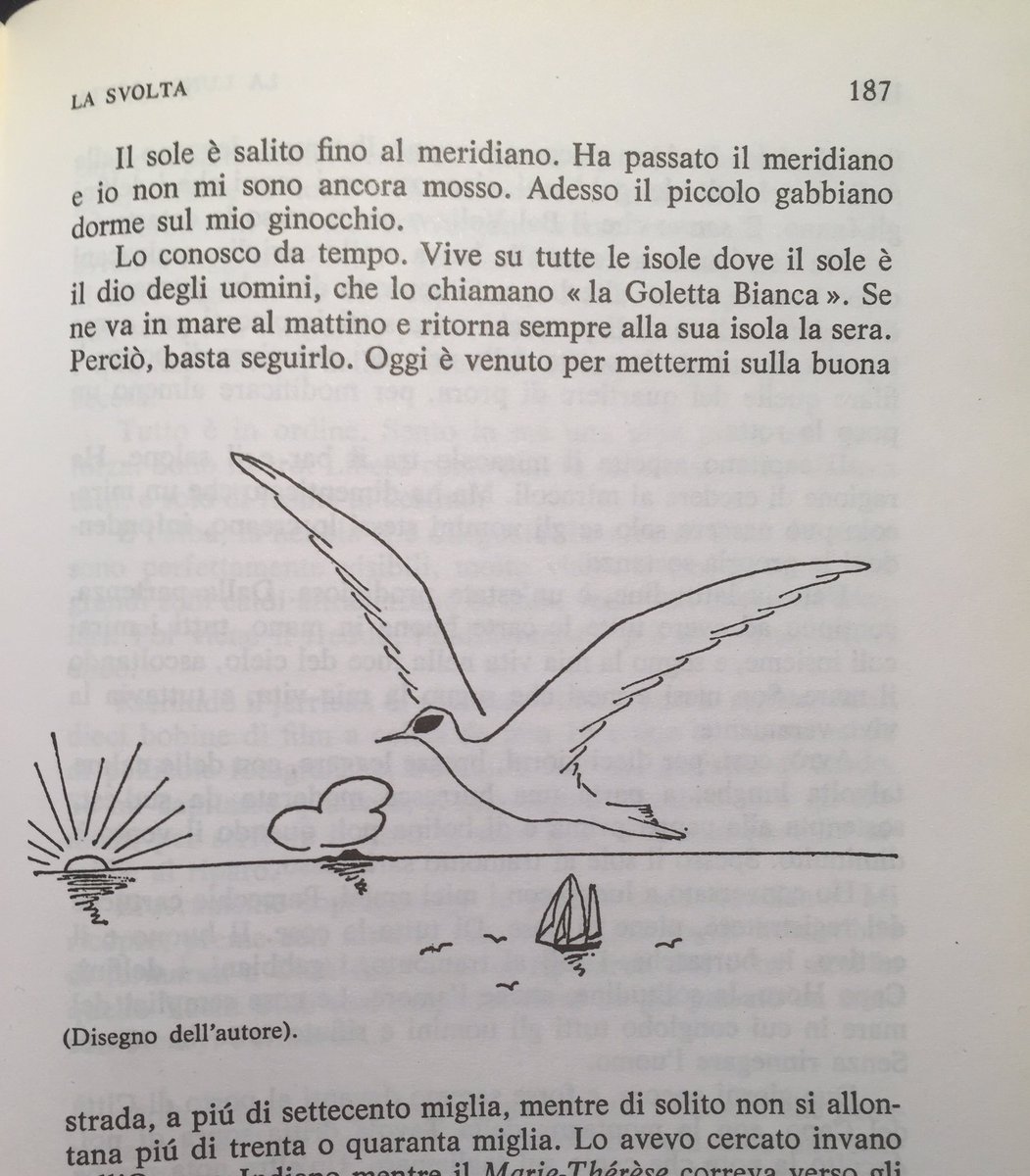 Arriva un momento in cui l'uomo è un tutt'uno con la natura.
#BernardMoitessier ha dedicato una pagina al suo amico gabbiano
@gaetanomura