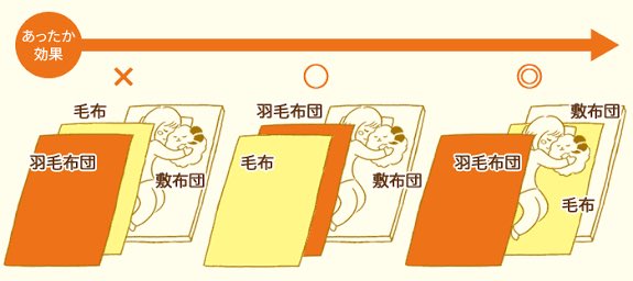 カミカミ王子 En Twitter 正しい使い方おしえて 毛布の正しい使い方が知りたいです 光邦さん ティッピー リスナーの皆さんはどのような毛布の使い方をしてるのでしょうか 一般的には 羽毛布団 毛布 身体の順だと思うのですが 保温効果は 他の順番の