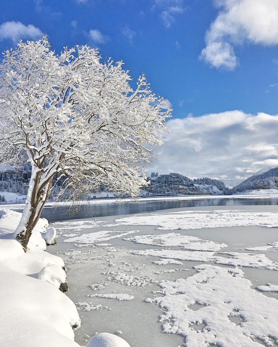 St. Moritz tweet media