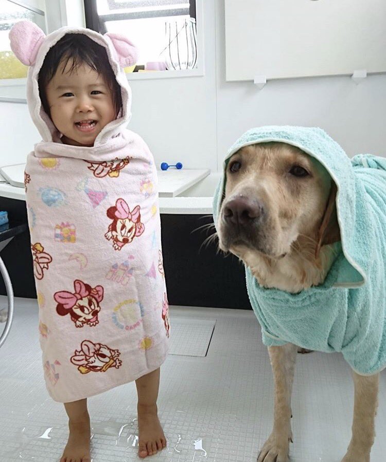 Uzivatel 生き物にサンキュー Na Twitteru 明日夜7時の 生き物にサンキュー は犬ネコのお留守番爆笑の瞬間撮った大賞 補助犬候補だったエミルのその後 大村一家とエミルも登場します そして世界中で話題になったある女性を待ち続けた1匹の野良犬に感動 お見逃し