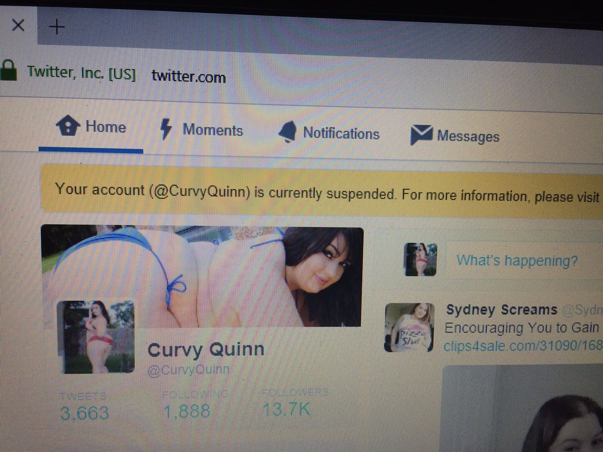 Curvy quinn twitter