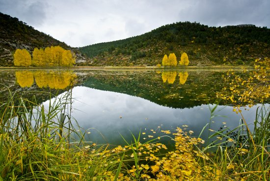 SecrettssCManch's tweet photo. #castilla la mancha Laguna del Marquesado https://t.co/5Oa84JJyzJ https://t.co/HXWTddJ2E4