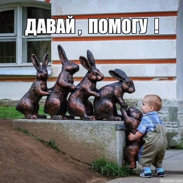 picscomment tweet picture