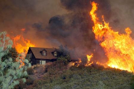 VWS Wildfires tweet media