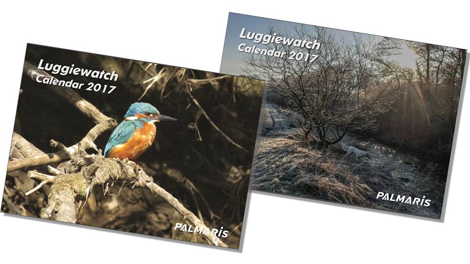 LuggieWatch tweet media