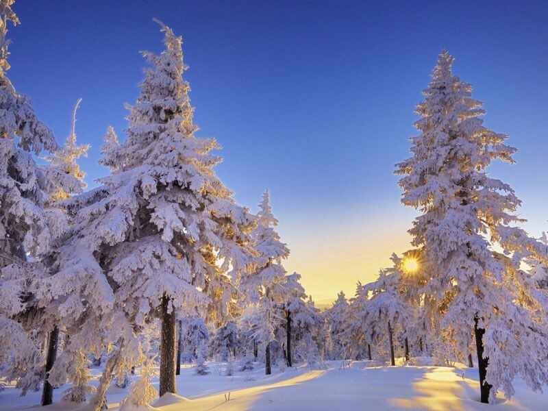 TourBar.com tweet media