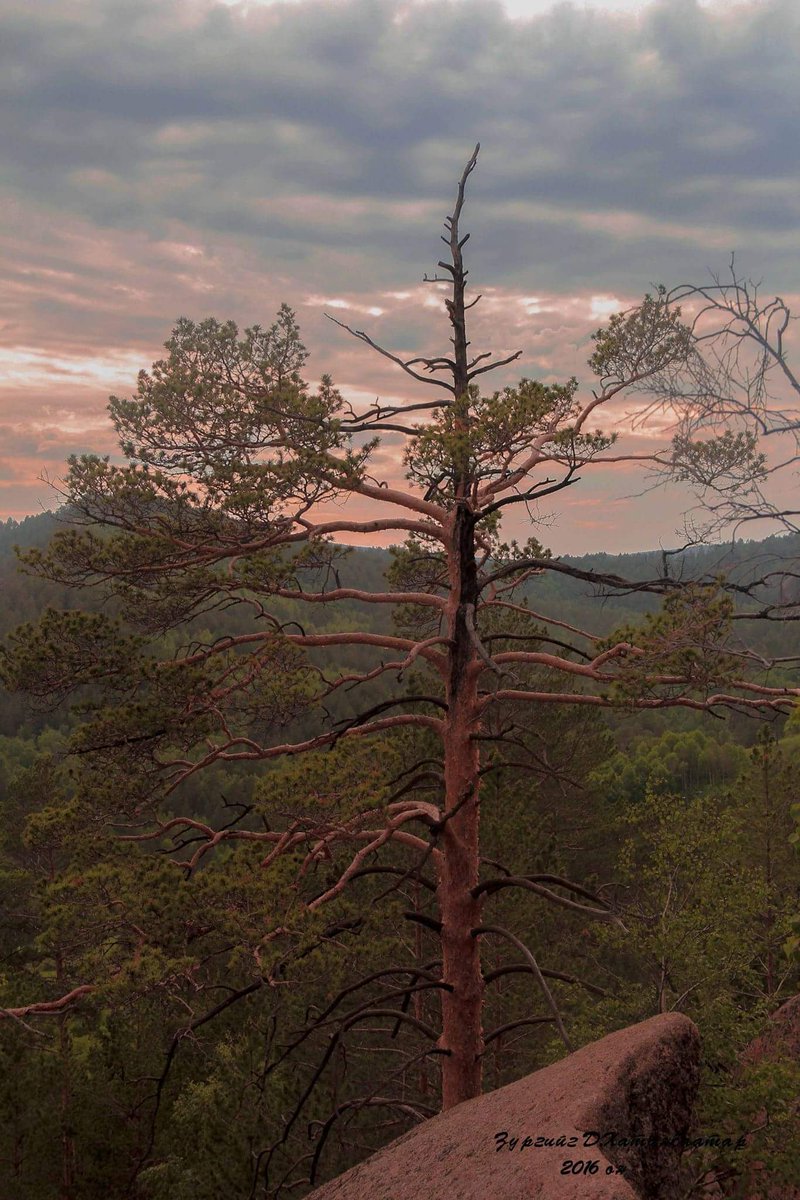 Амьдрал, тэмцэл