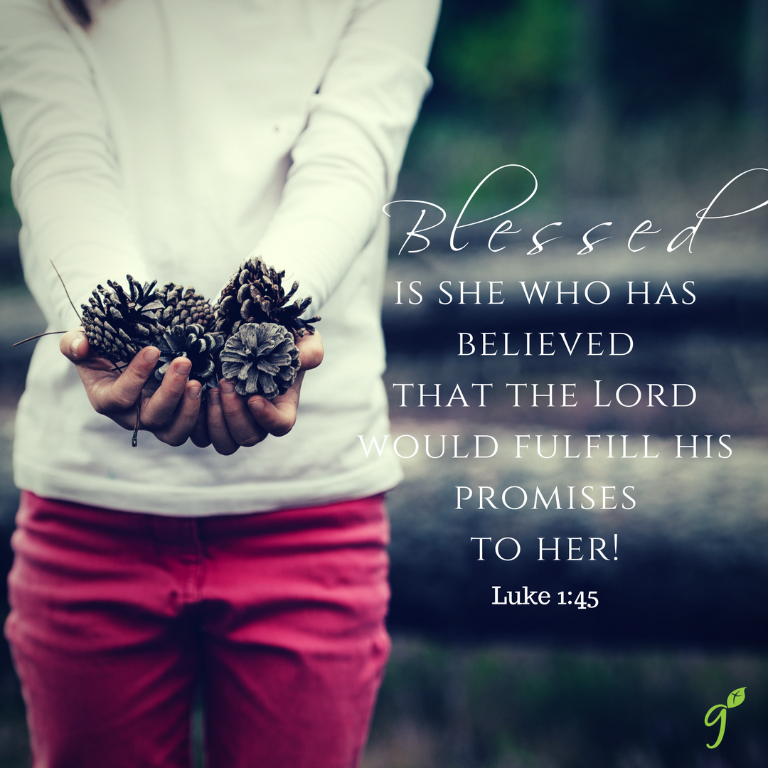 GodRevealsOurWy's tweet photo. "Blessed is she who has believed that the Lord would fulfill his promises to her!" Luke 1:45 #VOTW #GrowGuide #GetGrowBox https://t.co/DBmcNEsQpT