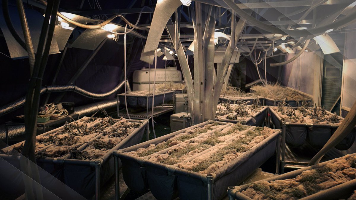 MarsIMSF's tweet image. The #Mars greenhouse has experienced a serious rapid decompression event. Details to come. makemarshome.com