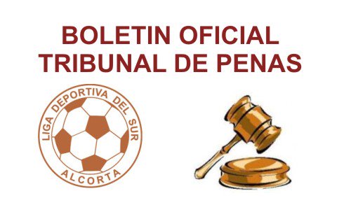 LigaDeportivaDelSur tweet media