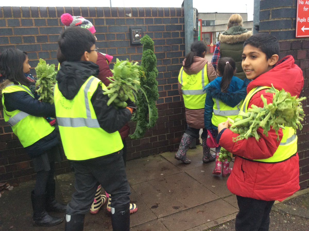 Thanks <a href="/Rootsthorpefarm/">Roots Thorpe Farm</a> we had a great time picking sprouts and curly kale for @SandfieldClose Christmas dinner tomorrow