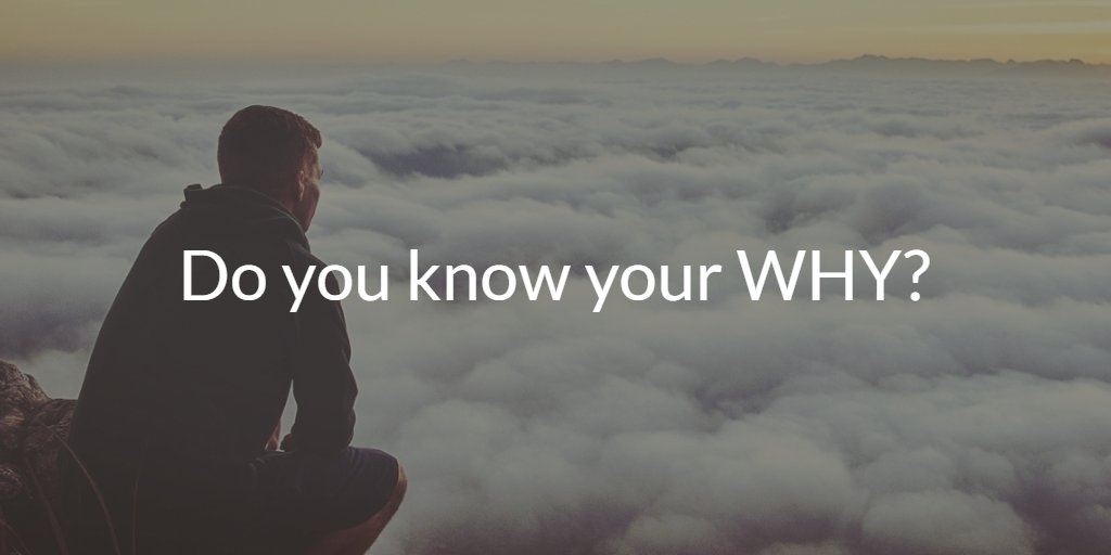 Contriber tweet media