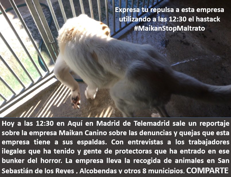 Justicia Animal tweet media