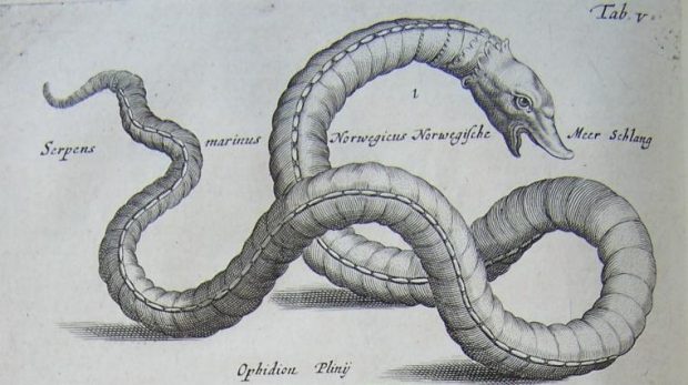 DarkMountainProject (@darkmtn) on Twitter photo 2016 is when the exiled serpent slithered back into the castle. Paul Kingsnorth launches our series on the past year dark-mountain.net/blog/2016-year… 2016 is when the exiled serpent slithered back into the castle. Paul Kingsnorth launches our series on the past year dark-mountain.net/blog/2016-year…