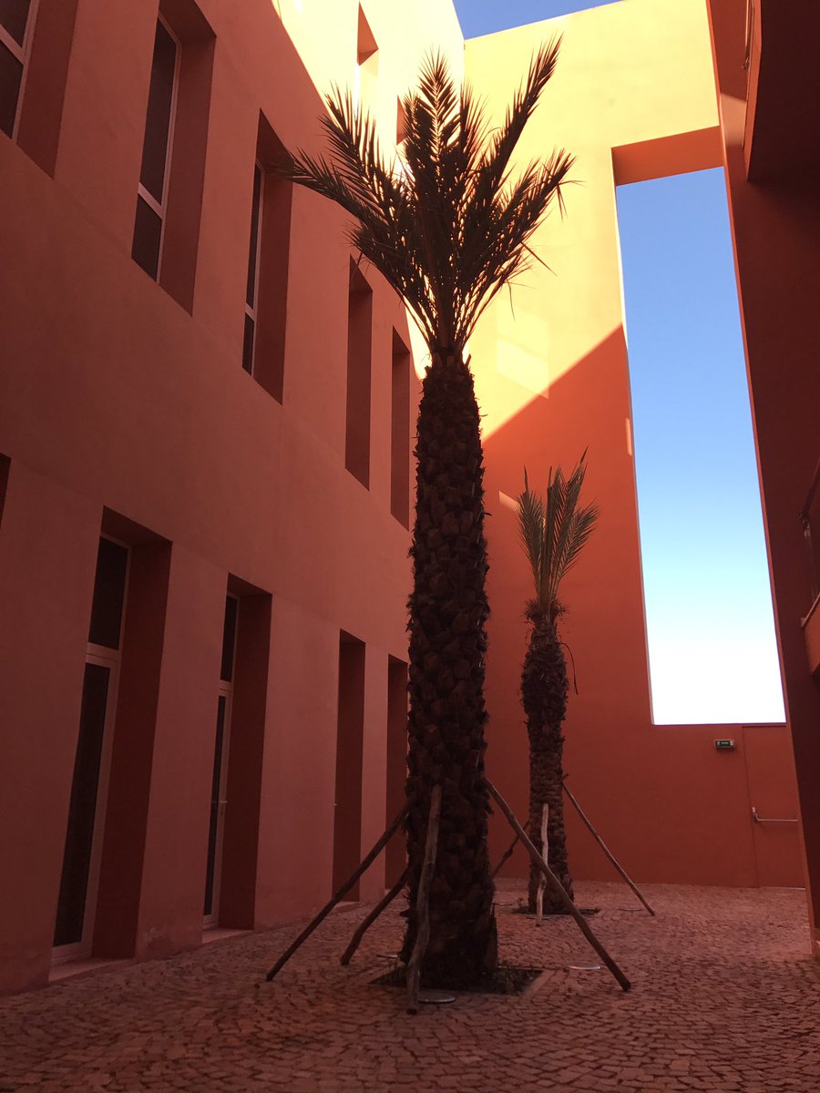 Julia_Contrea's tweet image. Happy to learn more about #MohammedVIPolytechnicUniversity w/ @Atl_Dialogues &amp;amp; @OCPPolicyCenter #AtlanticDialogues #EmergingLeaders pgm