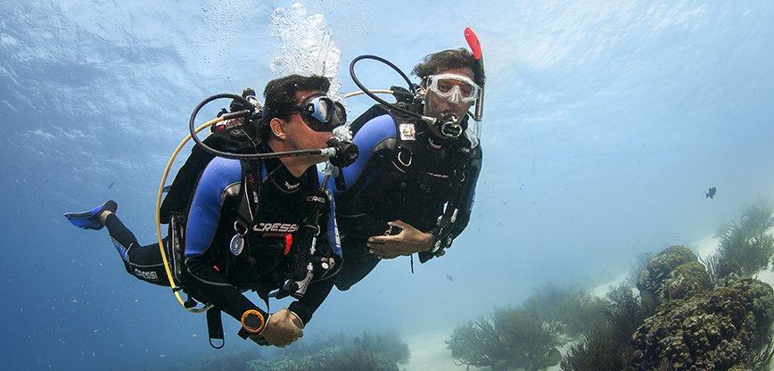divecavecom's tweet photo. #6Ways #BeingaDiver #Benefits You on Land Too https://t.co/dcomN0J3HL https://t.co/ETjUxoArzP
