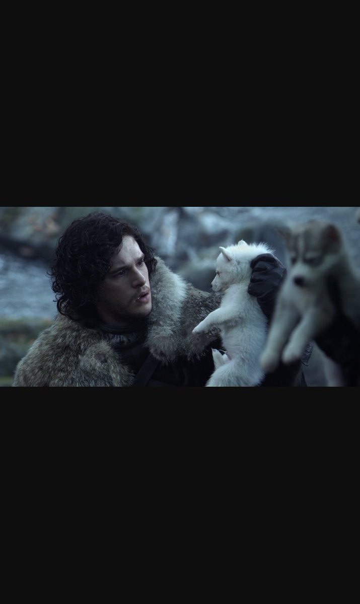 GhostSnow13's tweet image. 