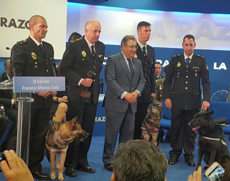 ¡¡GRANDES!! #PremiosUssía para nuestros perros, esenciales en lucha contra crimen organizado, localización de personas o prevención ¡Bravo👏!