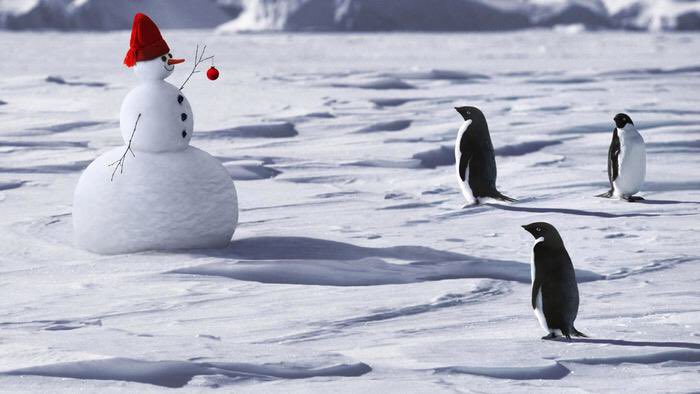 Current temperature of Ms. Renaud's class (me in red hat). Dress warm. Layer, to be safe. 
😬😬😬😬