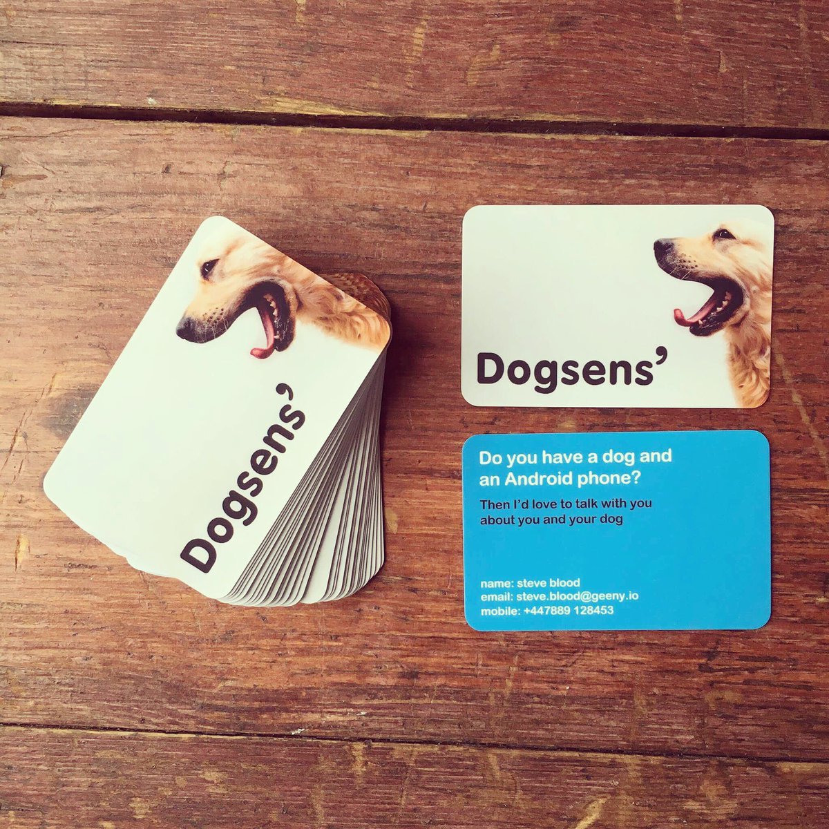 If you have an android phone and a dog, GET IN TOUCH! We are testing our device to make pets happier and healthier! #iot #dog in #berlin