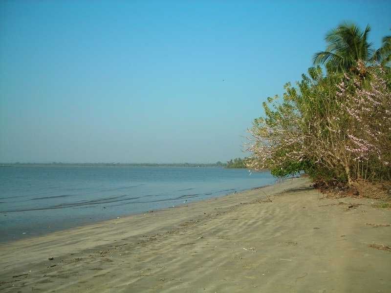 goatripsindia's tweet photo. #BambolimBeach is located near #Panaji. It is a neat and clean beach with no crowd. https://t.co/UA7jXj32mk #GoaPackages  #GoaTripsIndia https://t.co/VMwXNB9NUD