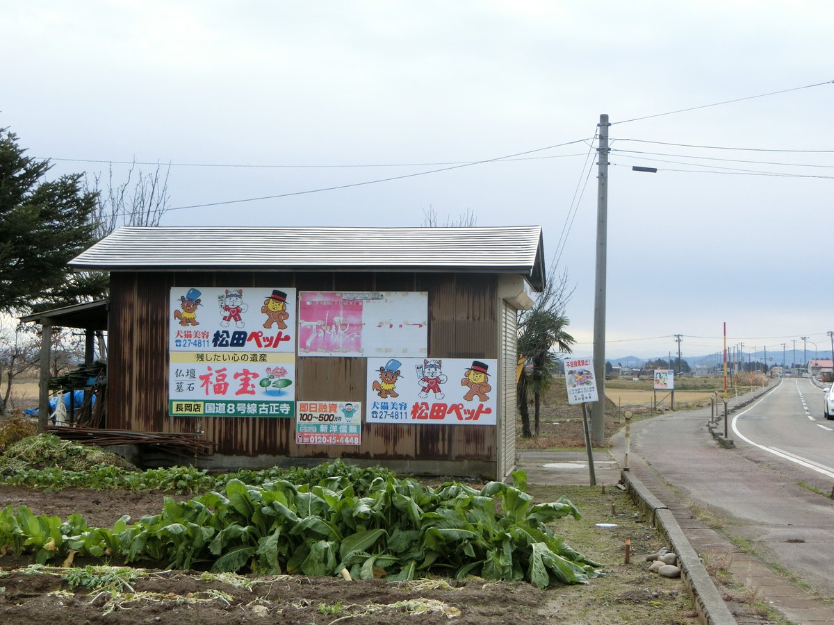 松田ペット