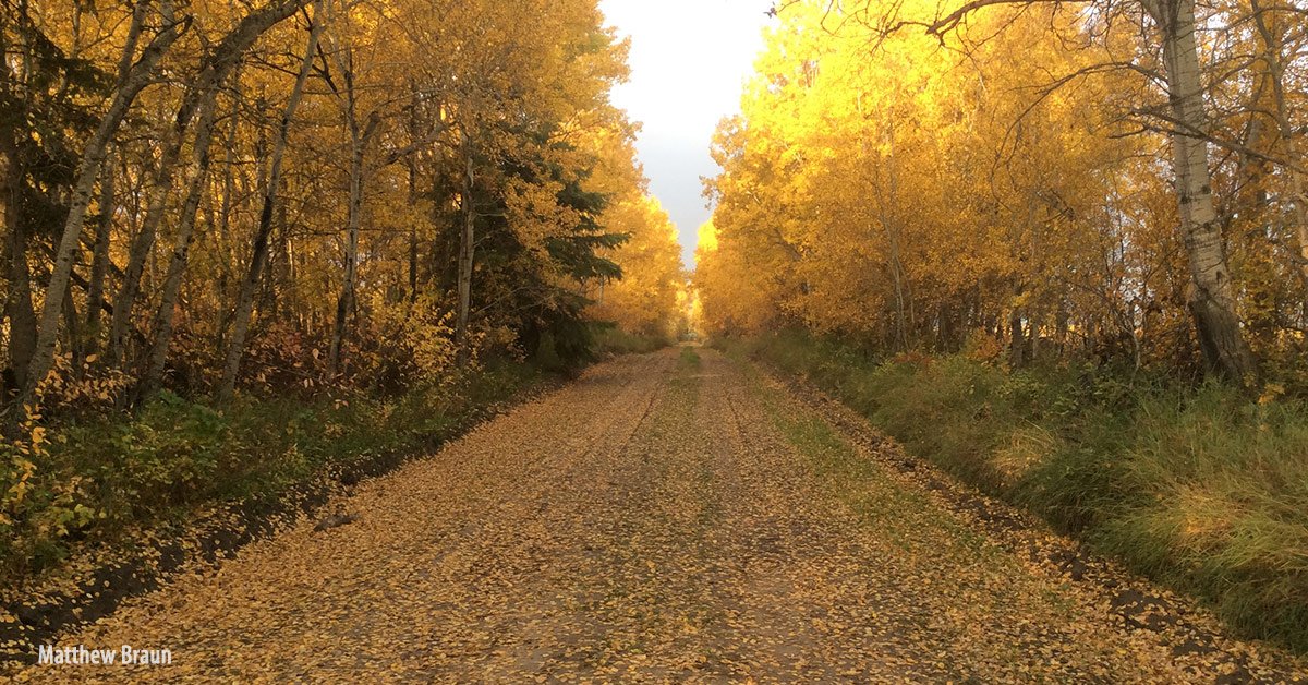 NCC_CNC's tweet photo. .@KClarkeWhistler describes the evolution of corporate philanthropy https://t.co/Ywbogfx8ix via #LandLines #TDForests https://t.co/lvQjXf9VoY