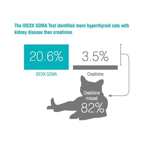 IDEXXnl's tweet photo. Bij katten met hyperthyreoïdie kun je 6x zoveel nierpatiënten diagnosticeren met IDEXX SDMA™ dan met creatinine. https://t.co/Nf8mpe0Lf9 https://t.co/APjDNIOhuk