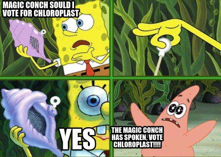 Chlorotrashed's tweet photo. There are millions of chloroplasts in that kelp behind them.
#RHSOrganelleWars #ChloroBlessed @MsDalyBiology https://t.co/PuOuV1WwjX