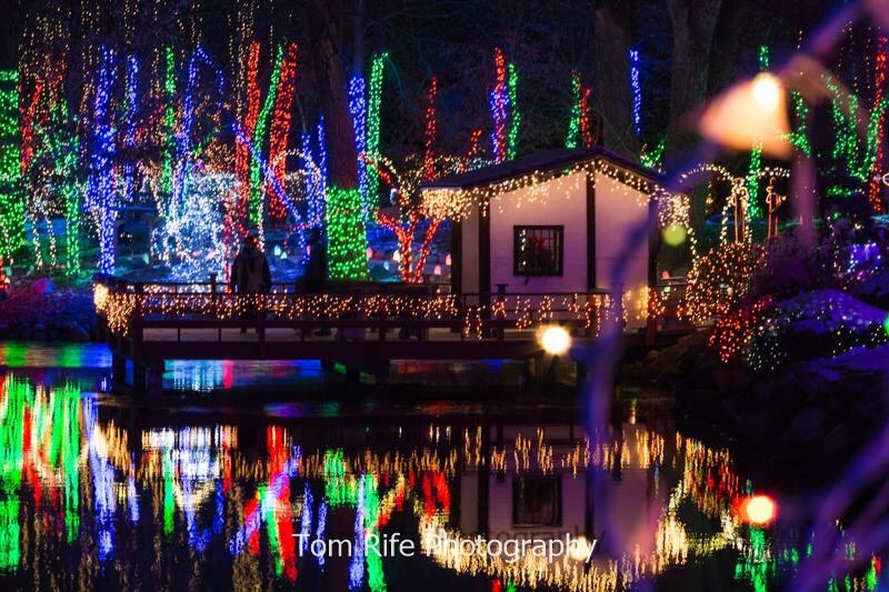 RotaryGardensWI's tweet photo. Join us when the show opens again on Thursday! #HLS2016 #Janesville #Wisconsin https://t.co/vhJT0rvR8e