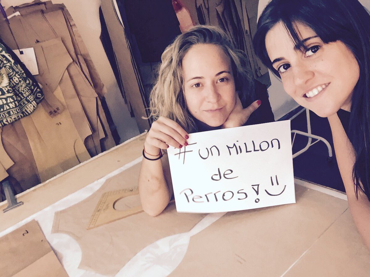 camilentini's tweet photo. @perroscalle #unmillondeperros en el trabajo escuchándolos!  ❤️ https://t.co/5WXZsLNHhu