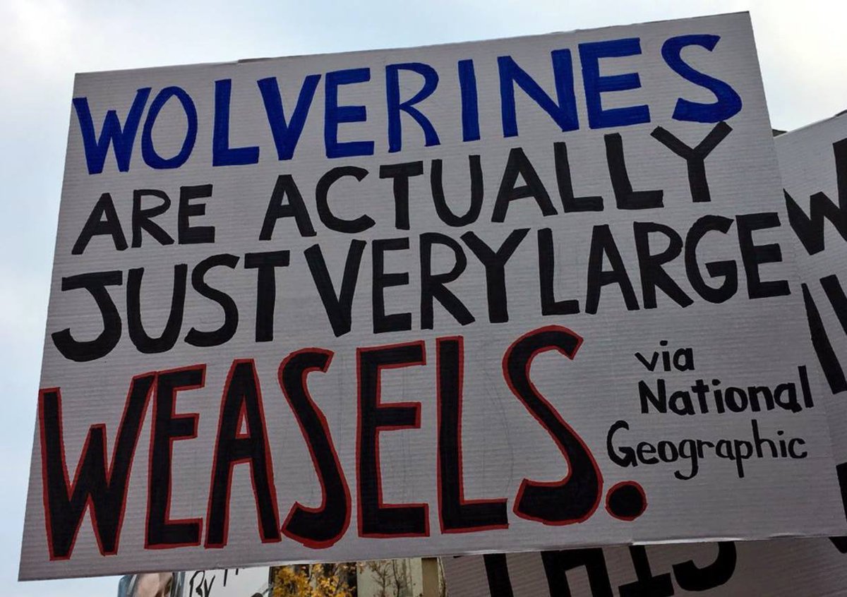 Number 48: *googles wolverine*