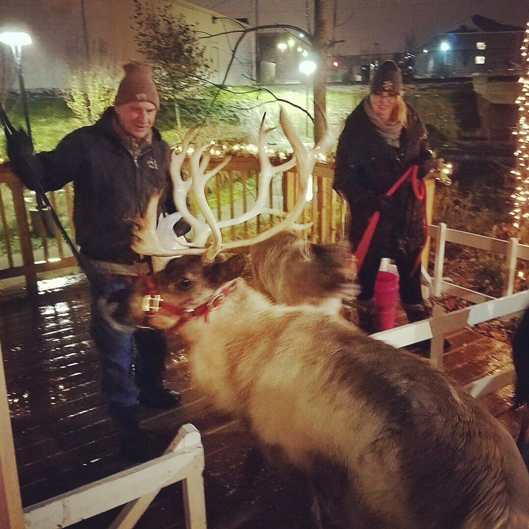 SlvrcreekUrbana's tweet image. Mama reindeer and her baby had fun bringing joy to the children at our holiday celebration! 🎄🎉😁 #funwashadbyall #reindeerlove #holidaymagic