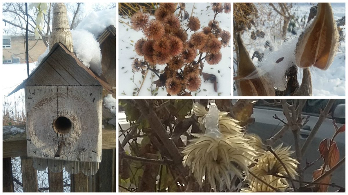 seanjamesdesign's tweet image. Loving being able to tell that a beautiful #garden is biding it&apos;s time under the layers of #snow! #winterstructure in the #FernRidge #garden